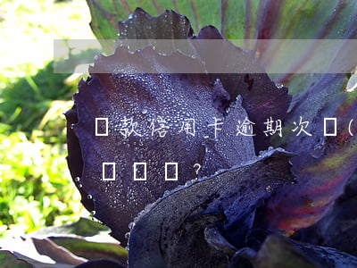 貸款信用卡逾期次數(shù)對申請有影響嗎？
